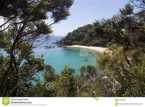 Whale Bay At The Tutukaka Coast In New Zealand Stock Image Image Of