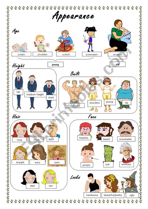 Appearance Esl Worksheet By Noola