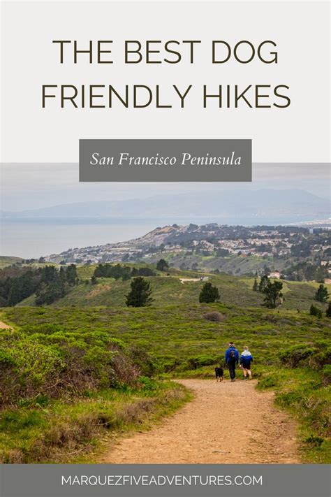 The Best Dog Friendly Hikes In San Mateo County California Travel