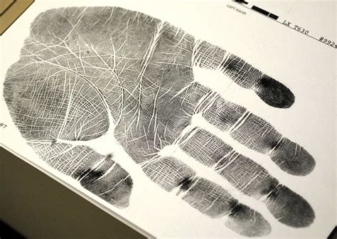 Palm Prints Being Added To Ohios Crime Database