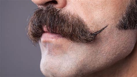 Different Mustache Styles And Grooming 4ever Fitness