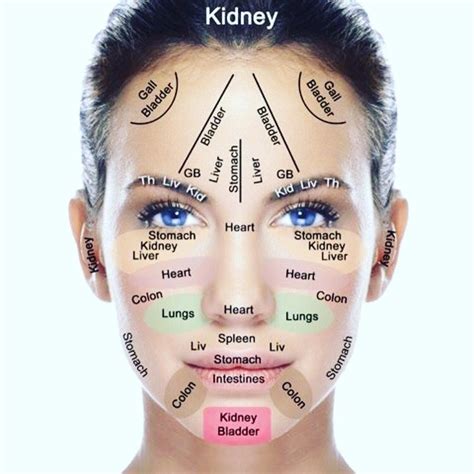 facial acupuncture points chart