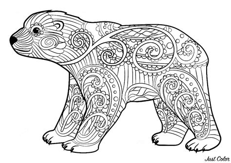 Junger Bär - Bären - Malbuch Fur Erwachsene