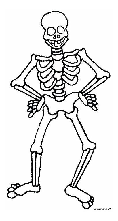 Skeleton Coloring Pages Human Pirate Skull Bone
