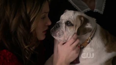 Gossip Girl 2x17 Carnal Knowledge The One With The Top 3