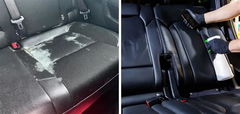 How to Remove Mold From Leather Seats - 10 Easy Steps (2024)