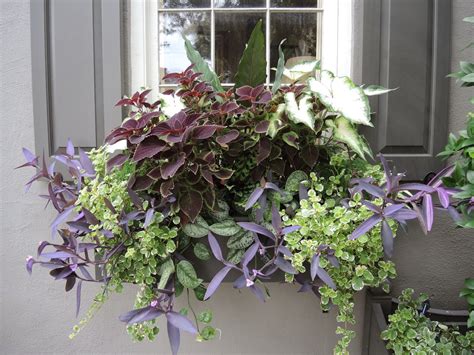 The flower box planters that you see below come with a hint of undeniable vintage charm and it is hard to miss their colorful presence even without all those flowers! JLL DESIGN: Taking a Stroll: Window Boxes