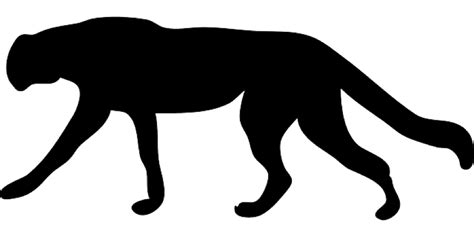 Panther Clipart Fierce Panther Fierce Transparent Free For Download On