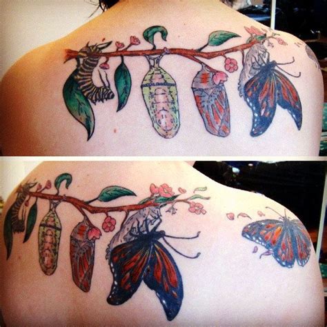 Caterpillar to butterfly process tattoo. caterpillar tattoos - Google Search | Caterpillar tattoo ...