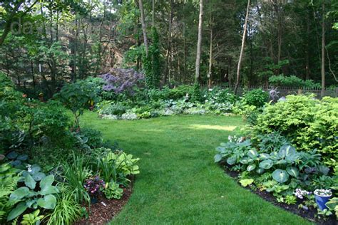 And the flowers, foliage, and berries delight the eye. Tropicals & Tender Perennials: Evergreen exotics for zone ...
