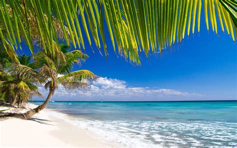 Caribbean Beach Pictures Wallpaper 70 Images