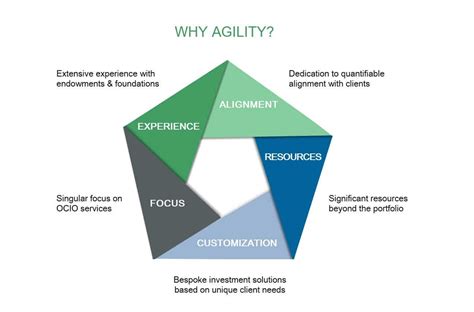 competitive advantages infographic | Agility Outsourced CIO