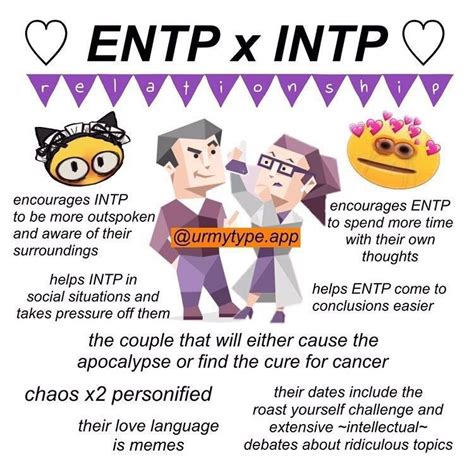 Pin By Sarah G On Mbti Intp Relationships Intp Personality Entp
