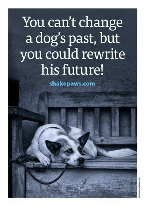 Pin By Shellster On Dogs Dog Quotes Rescue Dog Quotes Rescue Dogs