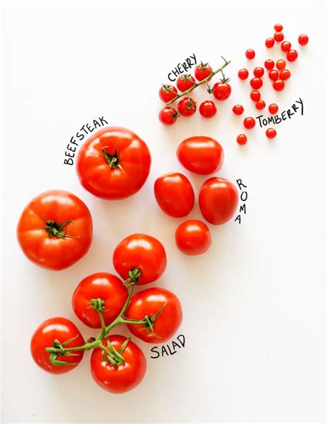 Types Of Tomatoes From Heirloom To Hybrid Everything You Need To Know