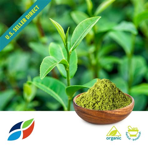 All our teas are tasty and won't disappoint your expectations. Organic Matcha Green Tea Powder - Ceremonial Grade 1kg ...
