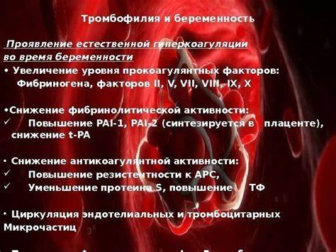 Тромбофилия беременность диета Приобретенные тромбофилии. Антифосфолипидный синд ром Приобретенные тромбофилии. Антифосфолипидный синд ром Тромбофилия беременность диета