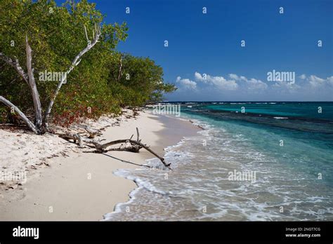 Lime Cay Kingston Jamaica Little Island Beach Stock Photo Alamy