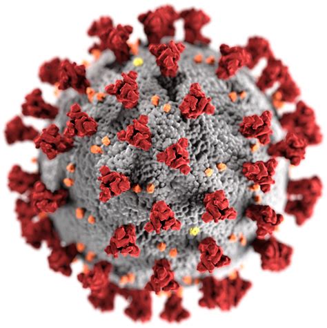 Did Superstition Cause the COVID-19 Outbreak? | Skeptical Inquirer