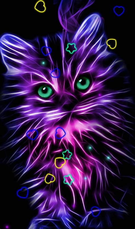 Glowing Cat Wallpapers Wallpaper Cave