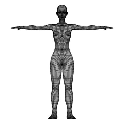 Body Model Drawing Free Download On Clipartmag