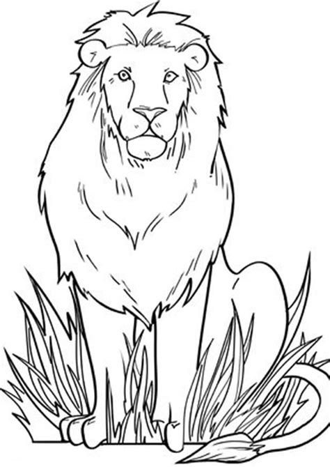 Lion Coloring Page Animals Town Animals Color Sheet L