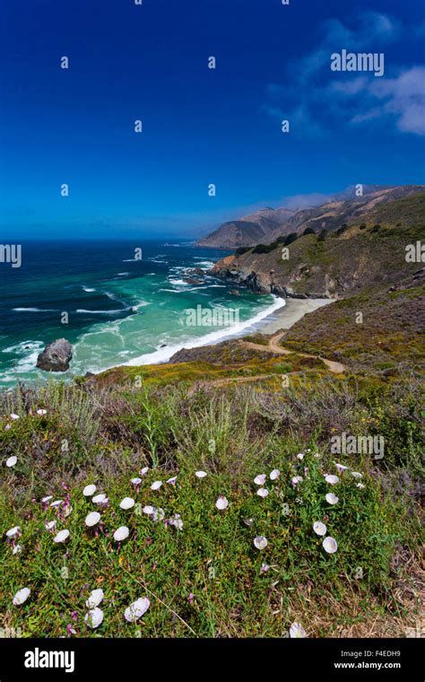 The Big Sur Coastline Of California Stock Photo Alamy