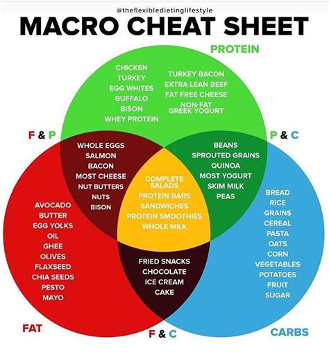 New to Tracking Your Macros!?!? - Here’s a Cheat Sheet to help you know