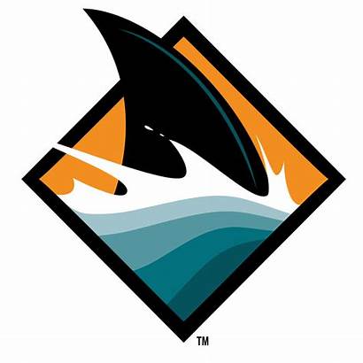 Sharks Jose San Shark Fin Logos Clipart