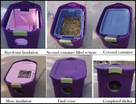 A pregnant cat should be inside the home long before she is due to have her kittens. News