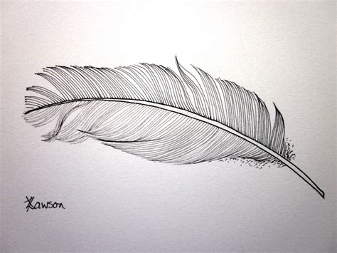 Browsers draw a line across the entire width of the container, which can be the entire. Feather drawing giveaway | Feathers, Ink and Giveaway!!