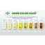 What Your Urine Color Says About Health  WomenWorking