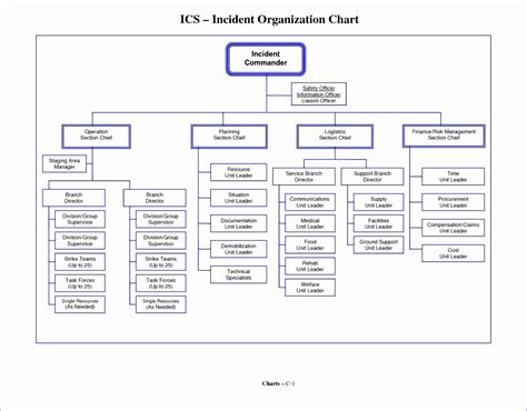 Organizational Chart Template Free Awesome 8 Microsoft Excel