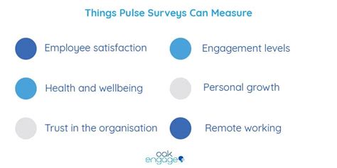 Pulse Surveys A Beginners Guide Tips And Best Practices In 2021