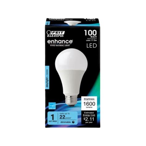 Feit Electric A19 E26 Medium Led Bulb Daylight 100 Watt Equivalence