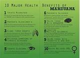 Medical Marijuana For Pets Images
