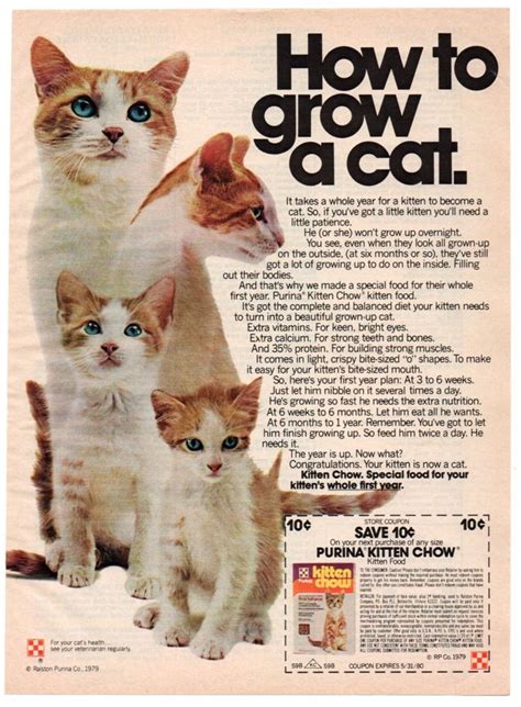 Vintage Purina Kitten Chow Print Magazine Ad 1979 Original Cat Food