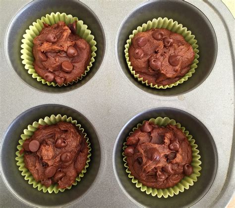 Flourless 4 Ingredient Chocolate Peanut Butter Protein Muffins Diary