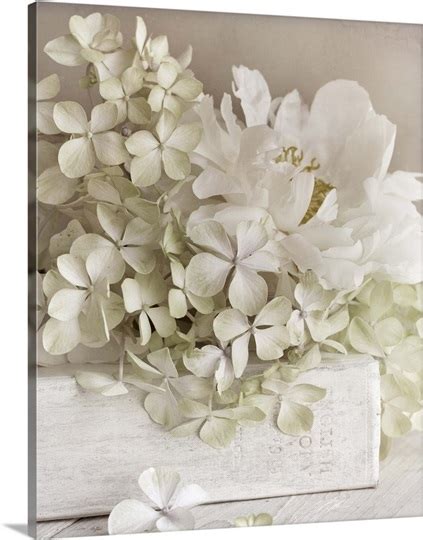 White Flowers Ii Photo Canvas Print Great Big Canvas