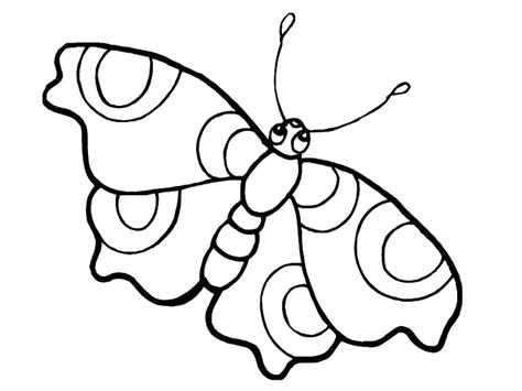 Big Eyed Butterfly Colouring Page For Kids Printable