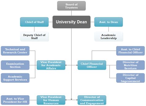 Administrative Structure Of University Edraw