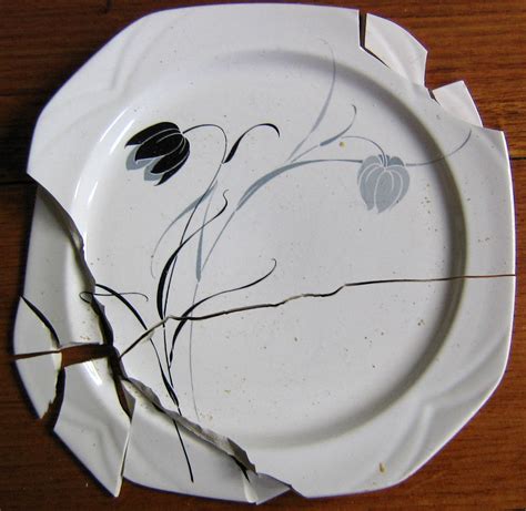 Broken Plate Broke My Favourite Plate Flower Collection Flickr