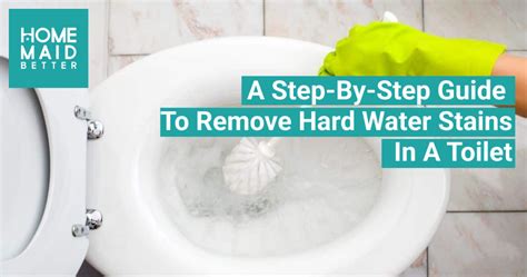 A Step By Step Guide To Remove Hard Water Stains In A Toilet