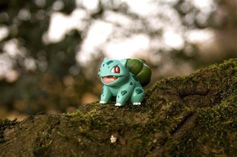 Bulbasaur Wallpaper 78 Images