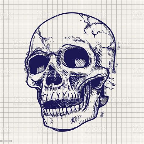 Hand Drawn Skull Sketch Stock Illustration - Download Image Now - iStock