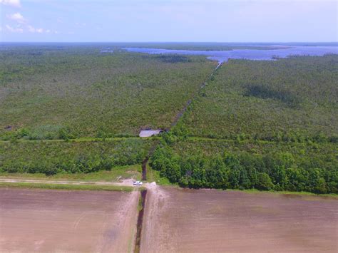 Camden 334 ac farm & timber | The Rich Company