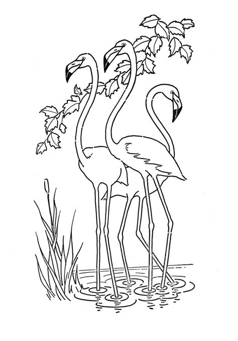 This cute flamingo coloring page would make a cute present for your parents. 138 best Flamingos, vintage and more images on Pinterest ...