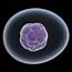 Stem Cells From The Umbilical Cord – A Gift Newborn