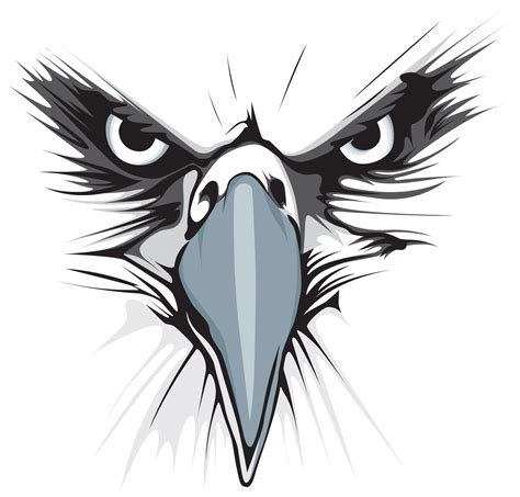Eagle Face Vector At Getdrawings Free Download