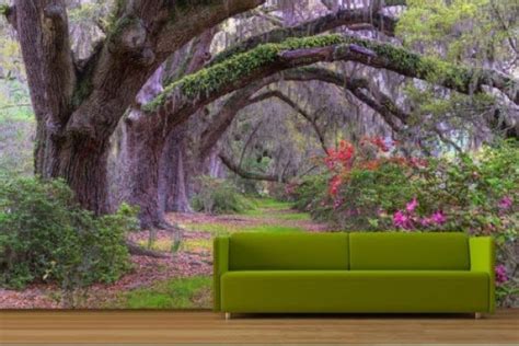 43 Enchanting Forest Wall Murals For Deep And Dreamy Decor